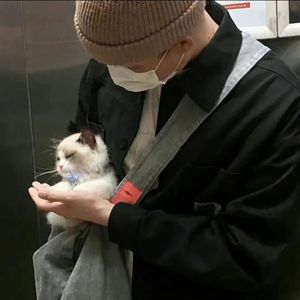 日本大山雀操逼视频
