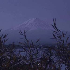 日本大山雀操逼视频
