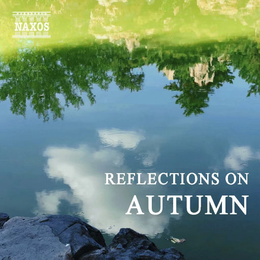 日本大山雀操逼视频
